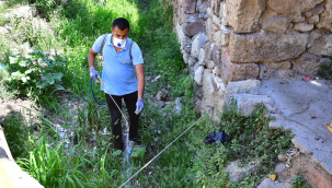 İzmir'de sivrisineklere karşı etkin mücadele