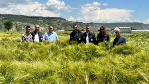 Manisa'da tohumların verimliliği yüzleri güldürüyor