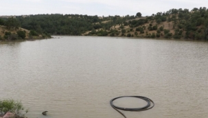 Manisa Yunusemre'de damla sulama sezonu