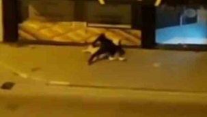 Sokak ortasında dayak yedi, polis gelince şikayetçi olmadı