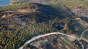  Aliağa orman yangınıyla ilgili gözaltına alınan 2 kişi serbest