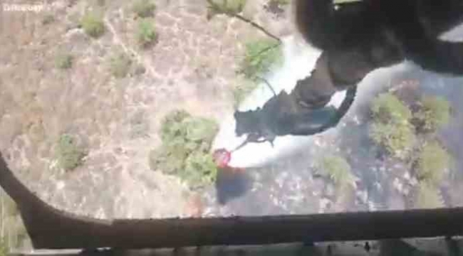 Çandarlı'da Orman Yangını Söndürüldü