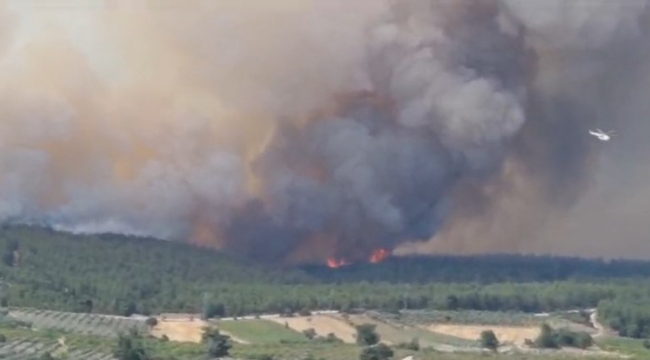Kınık'ta orman yangını devam ediyor
