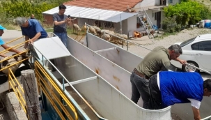 Manisa'da küçükbaş hayvan sağlığına mobil çözüm