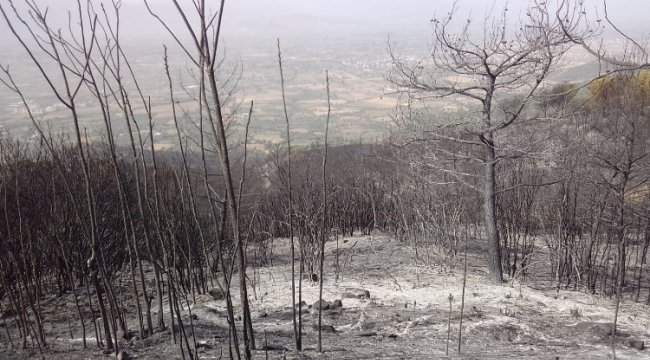 Manisa'dan İzmir Ödemiş yangınına destek