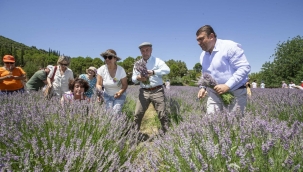 Soyer'den üreticilere lavanta işleme tesisi müjdesi 9 Temmuz 2023 Pazar