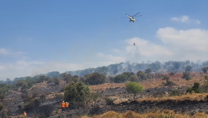  Aliağa Çoraklar Mahallesindeki makilik yangını kontrol altında