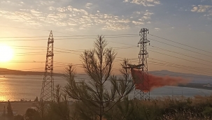 Aliağa'daki orman yangını kontrol altına alındı