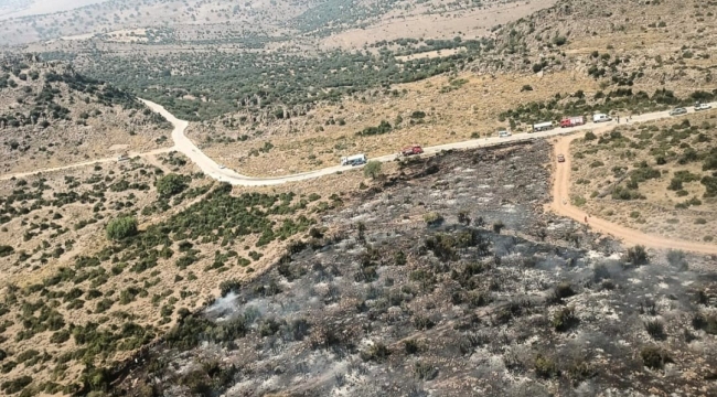 Aliağa'daki otluk ve makilik alanda yangın kontrol altına alındı