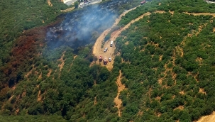 Araç yangını ormana sıçradı