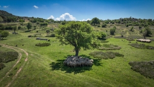 Başka Bir Tarım Sertifikasyonu uluslararası geçerlilik kazandı