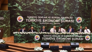 BAŞKAN ERTÜRK CUMHURBAŞKANI YARDIMCISI CEVDET YILMAZ VE BAKANLARA ALİAĞA'NIN SORUNLARINI AKTARDI