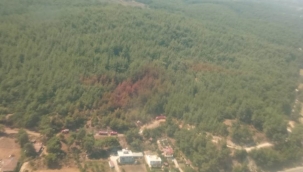 İzmir'de orman yangını büyümeden söndürüldü