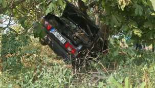 İzmir'de otomobil şarampole uçtu: 2 ölü