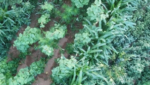 Jandarmadan uyuşturucu tacirlerine geçit yok