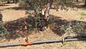 Kepçe ve tırla kaçak kazı yapanlar suçüstü yakalandı