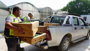 Milas üretiyor ve destekliyor