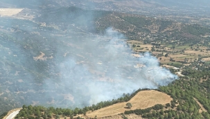 Ödemiş'teki orman yangını kontrol altında