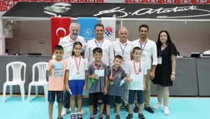 Satranç Tutkunları Aliağa'da Buluştu