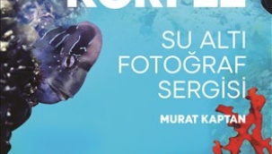 Yaşayan Körfez sergisi İzmirlilerle buluşuyor