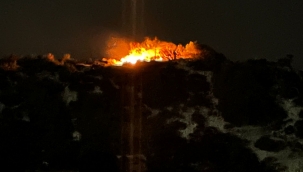 Foça'da Makilik Alanda yangın