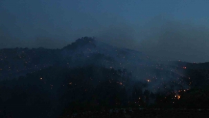 İzmir'deki orman yangınına müdahale sürüyor