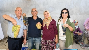 Kavacık 11. kez şenlenecek