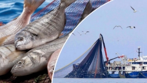 Yasa dışı avcılığa eş zamanlı çapraz denetim