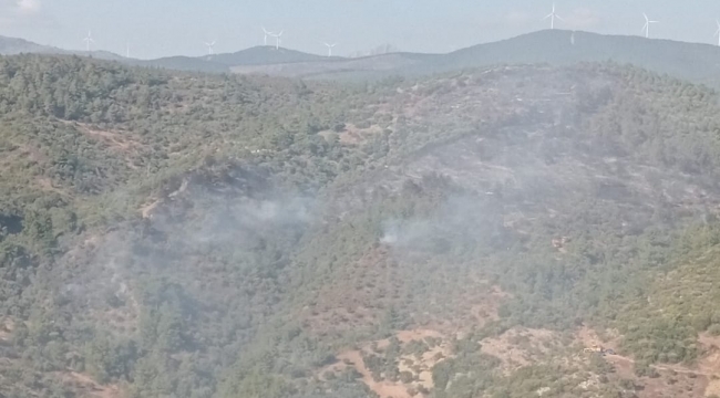 İzmir'deki orman yangını kontrol altında