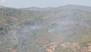 İzmir'deki orman yangını kontrol altında