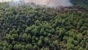 İzmir'deki orman yangınına havadan ve karadan müdahale
