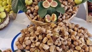 Kuru incir ihracatında tarihi rekor