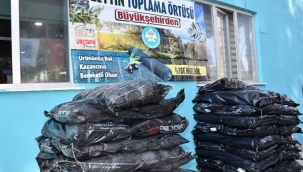 Manisa 30 bin zeytin toplama örtüsü dağıtıyor