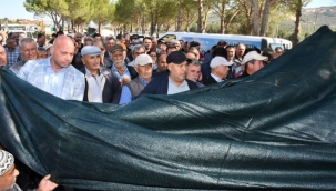 Manisa'da zeytinin başkenti Akhisar'a Büyükşehir'den destek