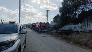 Aliağa'da Ağaçlık Alanda Yangın