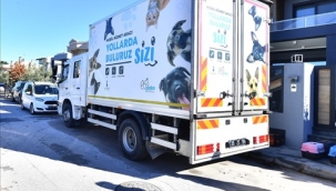 Bir yılda bin 600 hayvan mahallesinde kısırlaştırıldı