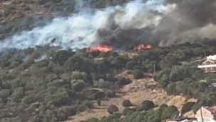 İzmir'de ormanlık alandaki yangın kontrol altında