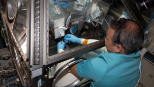 Gezeravcı uzayda pür dikkat çalışıyor