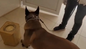 Peynir tenekelerinde uyuşturucu bulundu