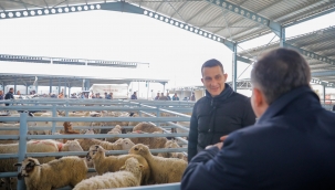 Başkan Adayı Doğruer : Tarımda olduğu gibi hayvancılıkta da marka olacağız