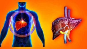 Karaciğeri en hızlı temizleyen 6 altın öneri! Beslenme ve Diyet Uzmanı açıkladı…