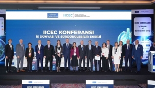 Globalde nükleer ve güneş enerjisi yükselişte