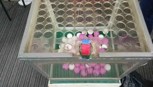 İzmir'de kumar baskını: 68 kişi yakalandı