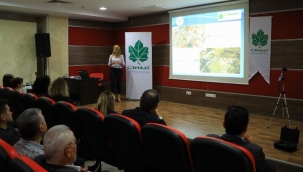 Muğla'nın gürültü haritası çıkartılıyor