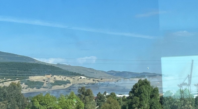 Aliağa 'da otluk alanda yangın