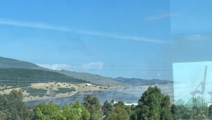 Aliağa 'da otluk alanda yangın