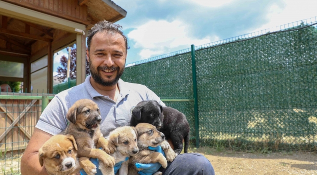  Buca Belediyesi'nden dikkat çeken sahiplendirme kampanyası