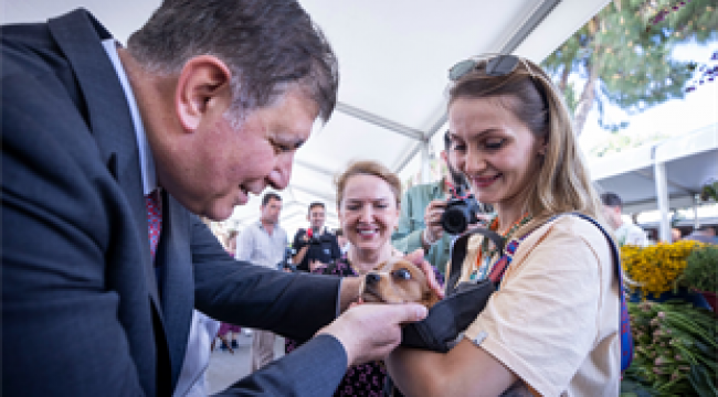 Büyükşehir'de Veteriner İşleri Halk Sağlığı Dairesi Başkanlığı kuruldu