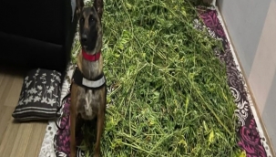 İzmir'de 10 Kilo Uyuşturucu Ele Geçirildi, Bir Kişi Tutuklandı