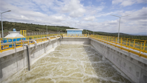 "Keçilerin ölüm nedeni zehirlenme değil"